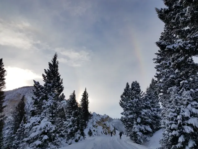 Two skiers on a snowy road between snow-laden evergreens, with a low sun and a faint rainbow-coloured halo in the sky.