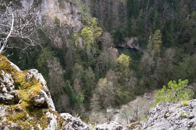 View from a mossy rock ledge down into a forested river canyon with a cliff face and a pale riverbed below.