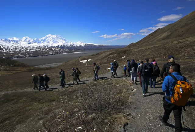 A group of hikers walks a gravel trail across brown tundra toward a river valley and distant snow-covered mountains.