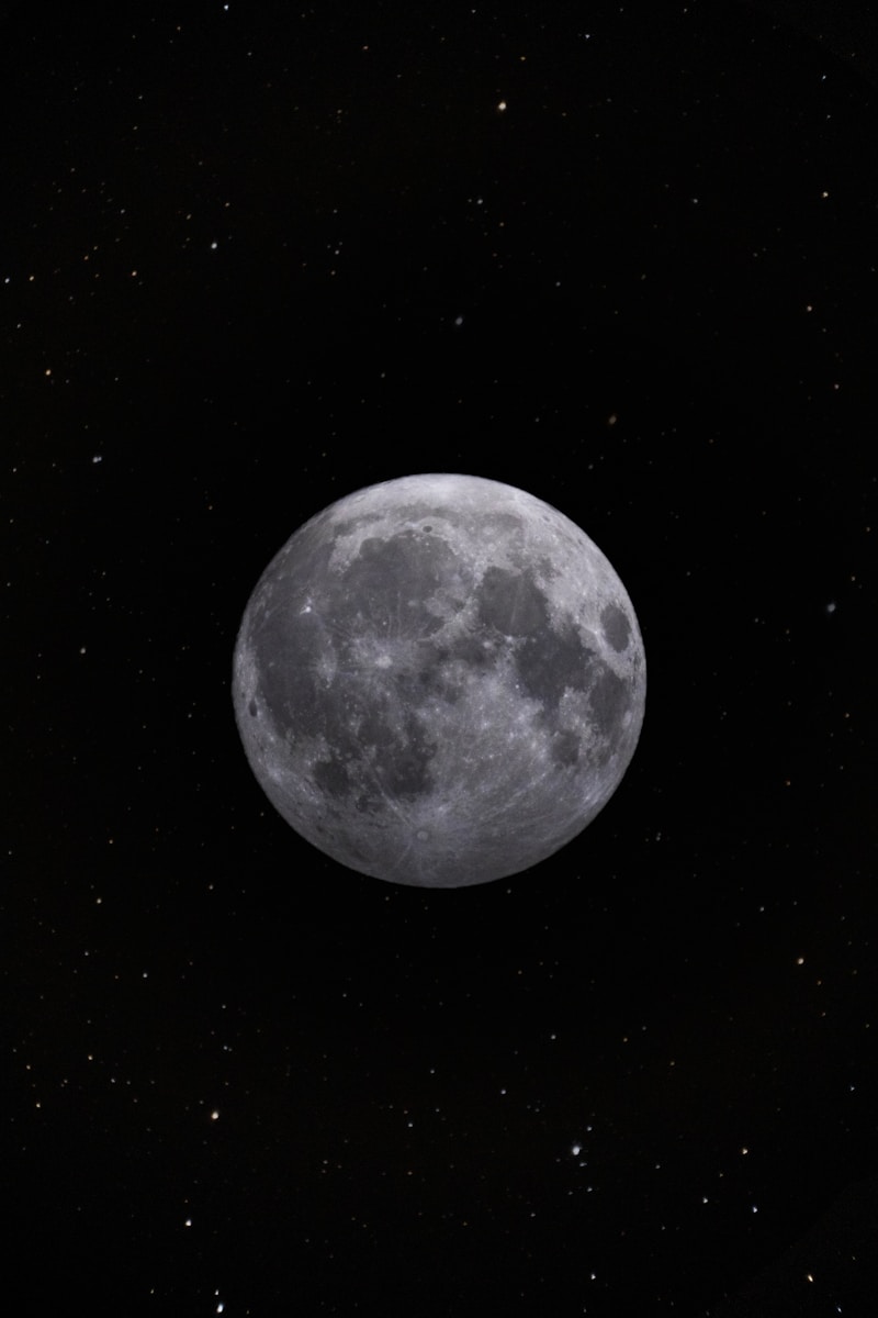 4 dark moon night dark moon night, dark moon symbolism, dark nature scenery, leaves in darkness, moonless night nature, moonless sky, mysterious landscapes, nature at night, night forest photography, trees and branches Shadowy Moon Evening time By means of the Bushes – Mysterious Unbelievable factor about Pure world’s Shadows dark moon night Shadowy Moon Evening time By means of the Bushes – Mysterious Unbelievable factor about Pure world’s Shadows