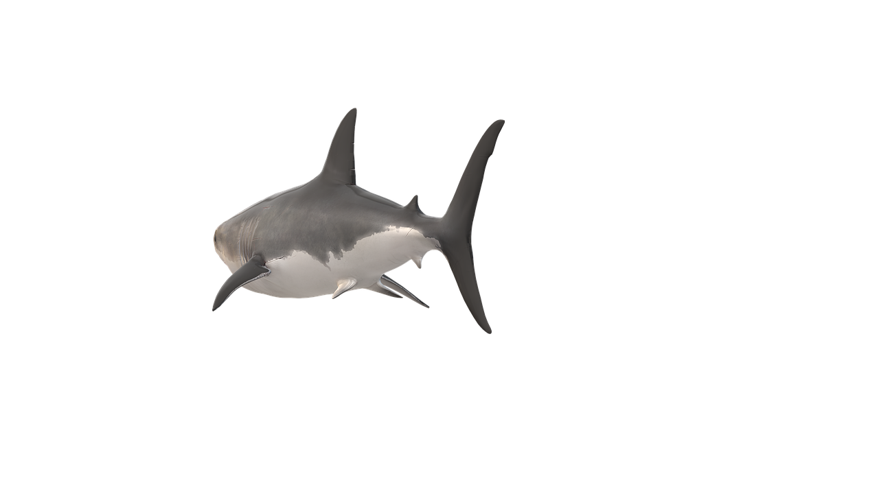 Deep Sea Wallpapers Shark 4K Wallpapers – Fearless Predators of the Ocean