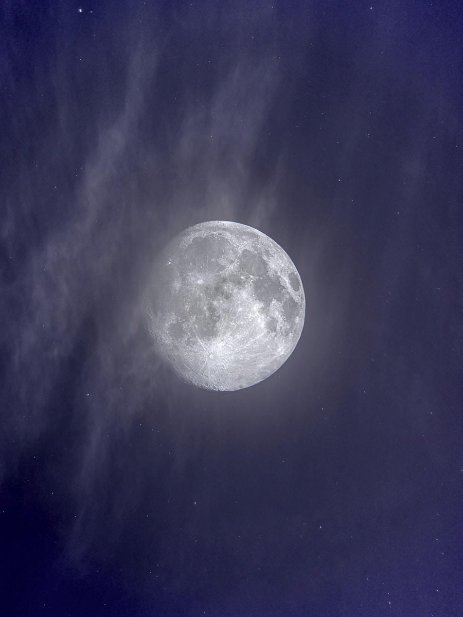 1 dark moon night dark moon night, dark moon symbolism, dark nature scenery, leaves in darkness, moonless night nature, moonless sky, mysterious landscapes, nature at night, night forest photography, trees and branches Shadowy Moon Evening time By means of the Bushes – Mysterious Unbelievable factor about Pure world’s Shadows dark moon night Shadowy Moon Evening time By means of the Bushes – Mysterious Unbelievable factor about Pure world’s Shadows