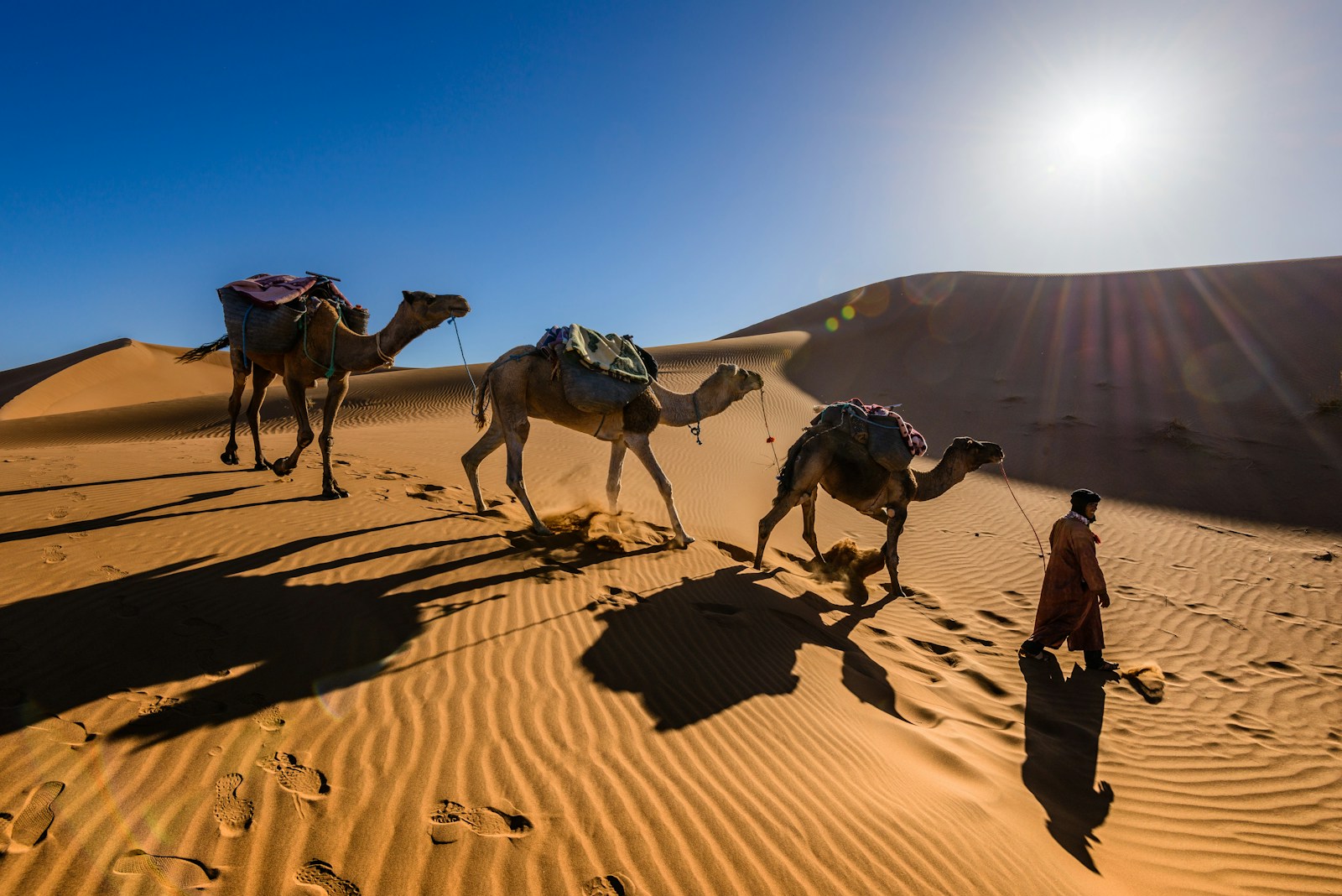 22 4K camel background 4K camel background, Arabian desert wallpaper, camel caravan photos, camel photography, camel wallpapers, desert dunes wallpaper, desert travelers, nature 4K backgrounds., Ultra HD camel images, Wildlife Wallpapers Camel Wallpapers – Desert Vacationers of the Sand Dunes 4K camel background Camel Wallpapers – Desert Vacationers of the Sand Dunes