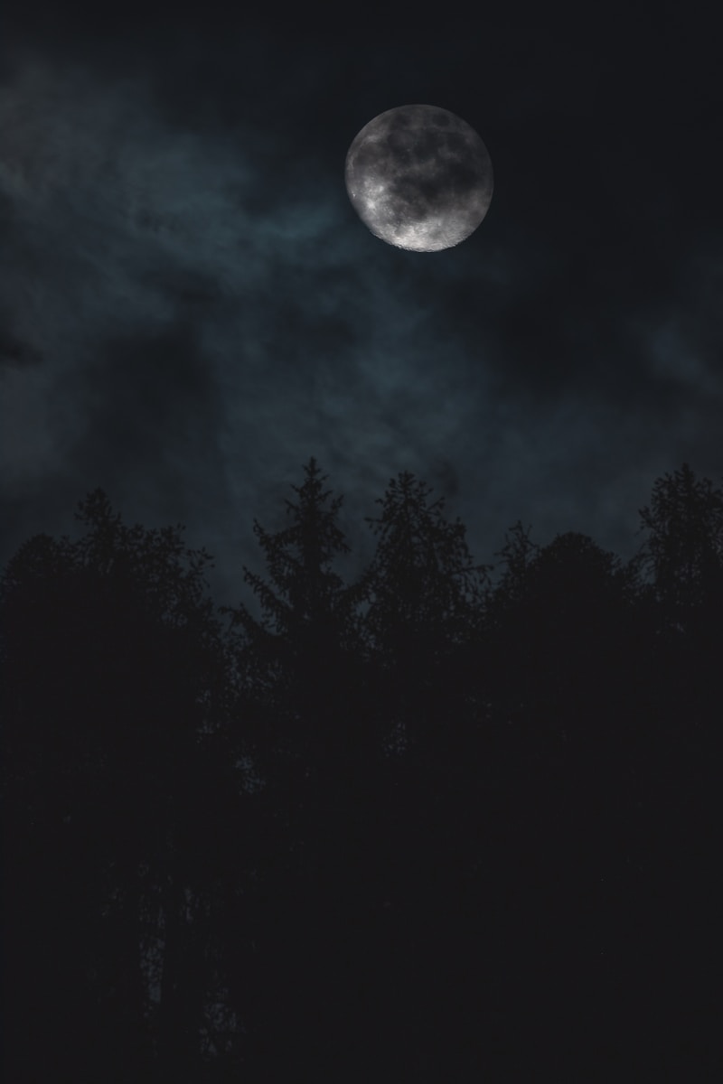 8 dark moon night dark moon night, dark moon symbolism, dark nature scenery, leaves in darkness, moonless night nature, moonless sky, mysterious landscapes, nature at night, night forest photography, trees and branches Shadowy Moon Evening time By means of the Bushes – Mysterious Unbelievable factor about Pure world’s Shadows dark moon night Shadowy Moon Evening time By means of the Bushes – Mysterious Unbelievable factor about Pure world’s Shadows