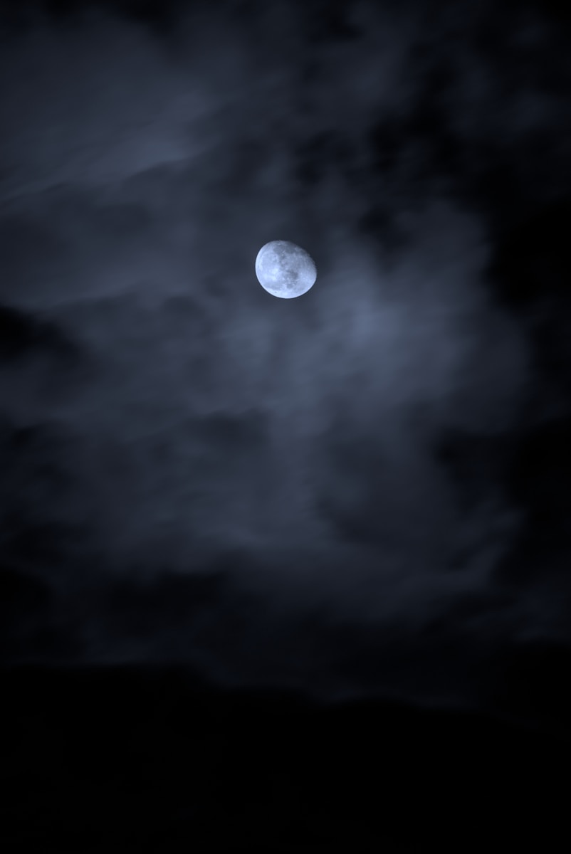 6 dark moon night dark moon night, dark moon symbolism, dark nature scenery, leaves in darkness, moonless night nature, moonless sky, mysterious landscapes, nature at night, night forest photography, trees and branches Shadowy Moon Evening time By means of the Bushes – Mysterious Unbelievable factor about Pure world’s Shadows dark moon night Shadowy Moon Evening time By means of the Bushes – Mysterious Unbelievable factor about Pure world’s Shadows