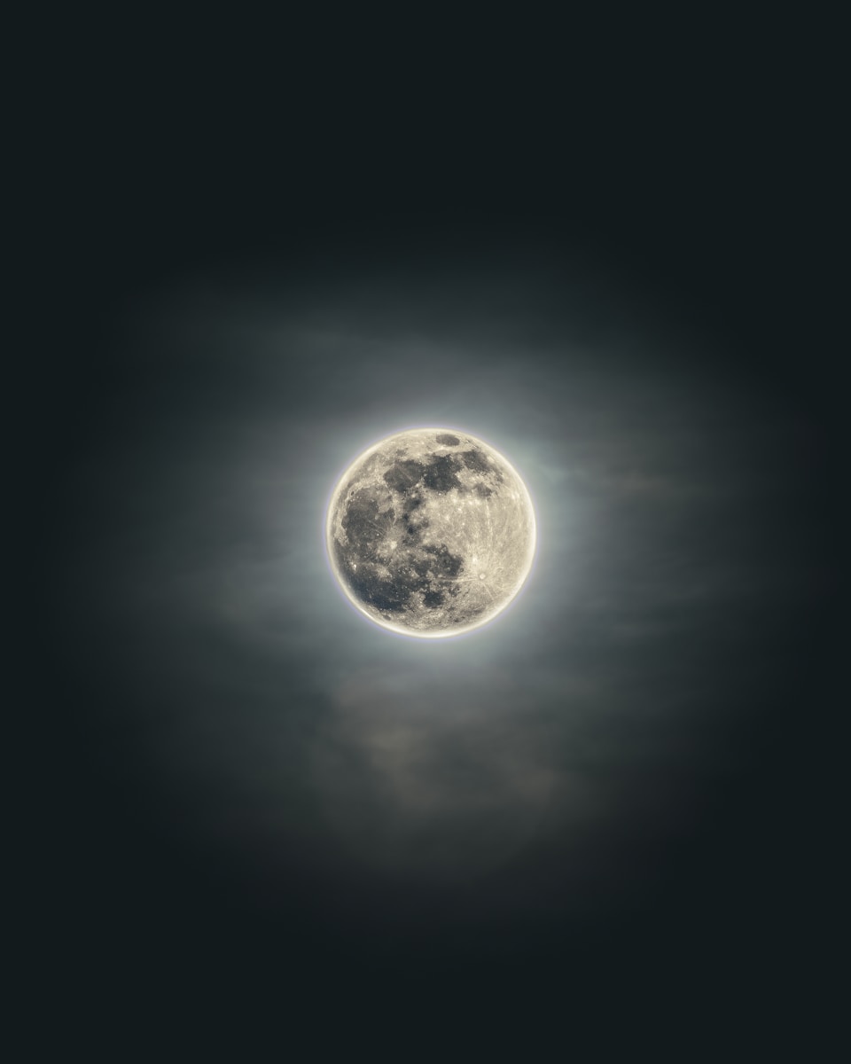 9 dark moon night dark moon night, dark moon symbolism, dark nature scenery, leaves in darkness, moonless night nature, moonless sky, mysterious landscapes, nature at night, night forest photography, trees and branches Shadowy Moon Evening time By means of the Bushes – Mysterious Unbelievable factor about Pure world’s Shadows dark moon night Shadowy Moon Evening time By means of the Bushes – Mysterious Unbelievable factor about Pure world’s Shadows
