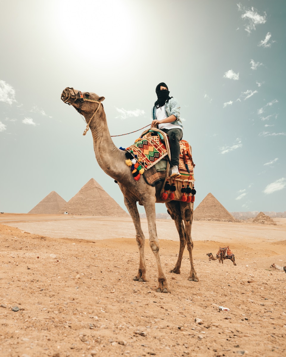 8 4K camel background 4K camel background, Arabian desert wallpaper, camel caravan photos, camel photography, camel wallpapers, desert dunes wallpaper, desert travelers, nature 4K backgrounds., Ultra HD camel images, Wildlife Wallpapers Camel Wallpapers – Desert Vacationers of the Sand Dunes 4K camel background Camel Wallpapers – Desert Vacationers of the Sand Dunes