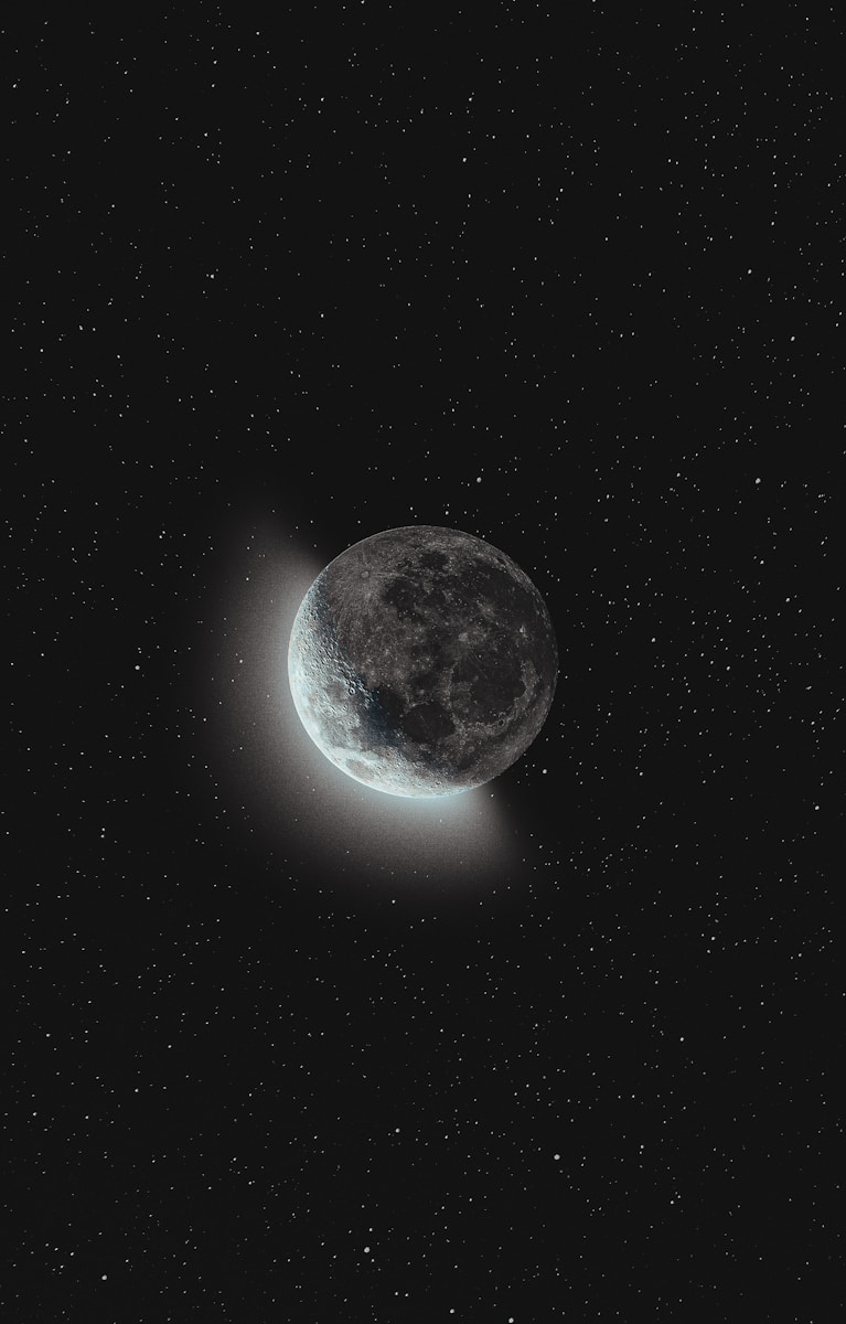 2 dark moon night dark moon night, dark moon symbolism, dark nature scenery, leaves in darkness, moonless night nature, moonless sky, mysterious landscapes, nature at night, night forest photography, trees and branches Shadowy Moon Evening time By means of the Bushes – Mysterious Unbelievable factor about Pure world’s Shadows dark moon night Shadowy Moon Evening time By means of the Bushes – Mysterious Unbelievable factor about Pure world’s Shadows