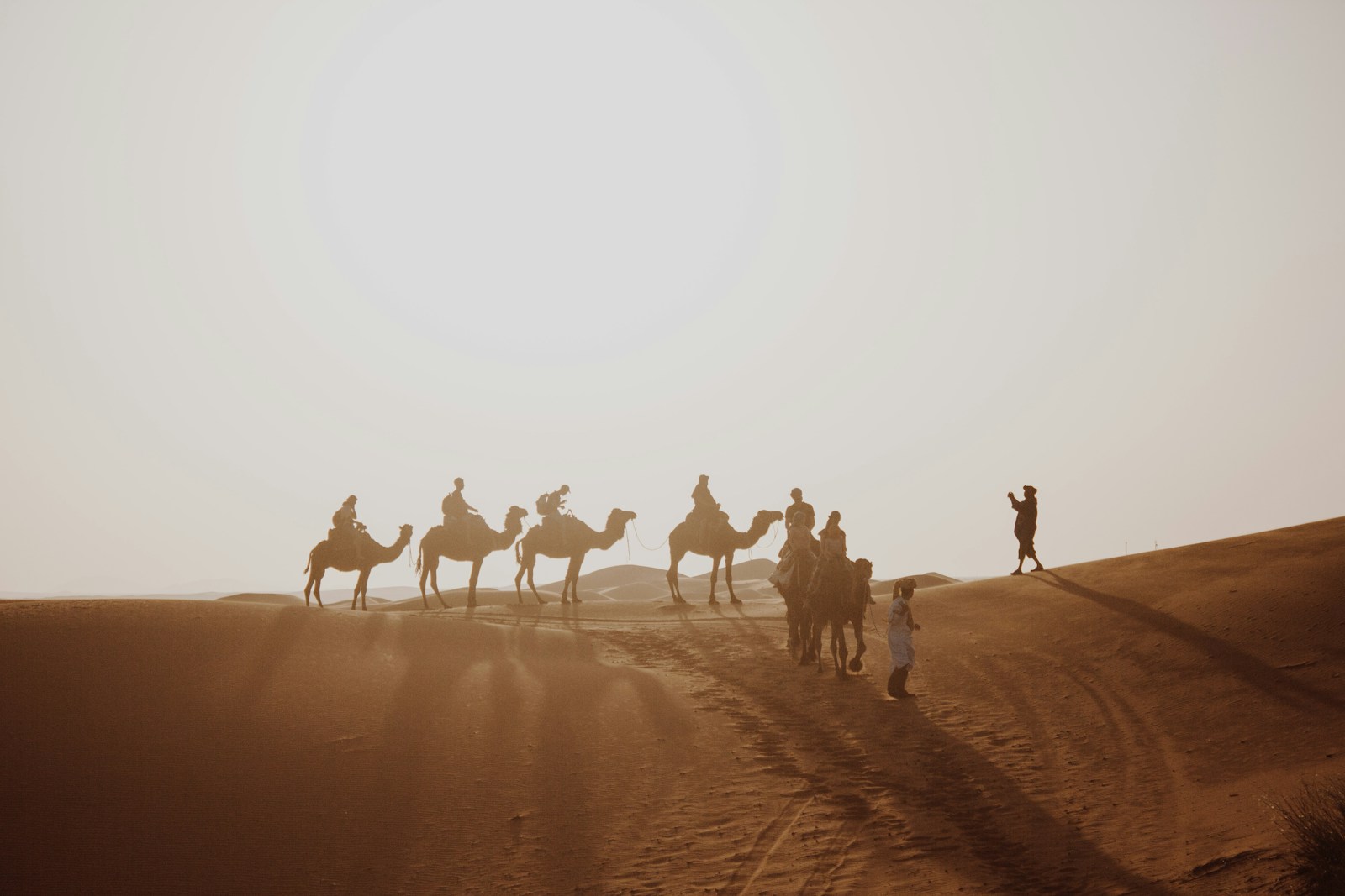 14 4K camel background 4K camel background, Arabian desert wallpaper, camel caravan photos, camel photography, camel wallpapers, desert dunes wallpaper, desert travelers, nature 4K backgrounds., Ultra HD camel images, Wildlife Wallpapers Camel Wallpapers – Desert Vacationers of the Sand Dunes 4K camel background Camel Wallpapers – Desert Vacationers of the Sand Dunes