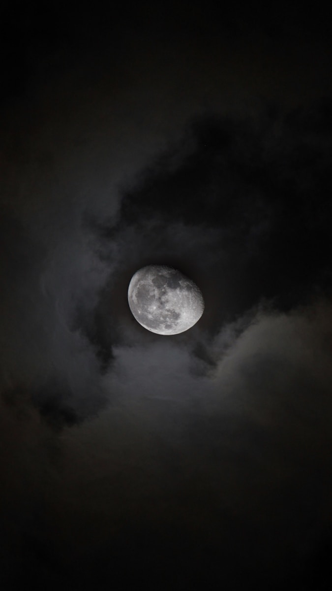5 dark moon night dark moon night, dark moon symbolism, dark nature scenery, leaves in darkness, moonless night nature, moonless sky, mysterious landscapes, nature at night, night forest photography, trees and branches Shadowy Moon Evening time By means of the Bushes – Mysterious Unbelievable factor about Pure world’s Shadows dark moon night Shadowy Moon Evening time By means of the Bushes – Mysterious Unbelievable factor about Pure world’s Shadows