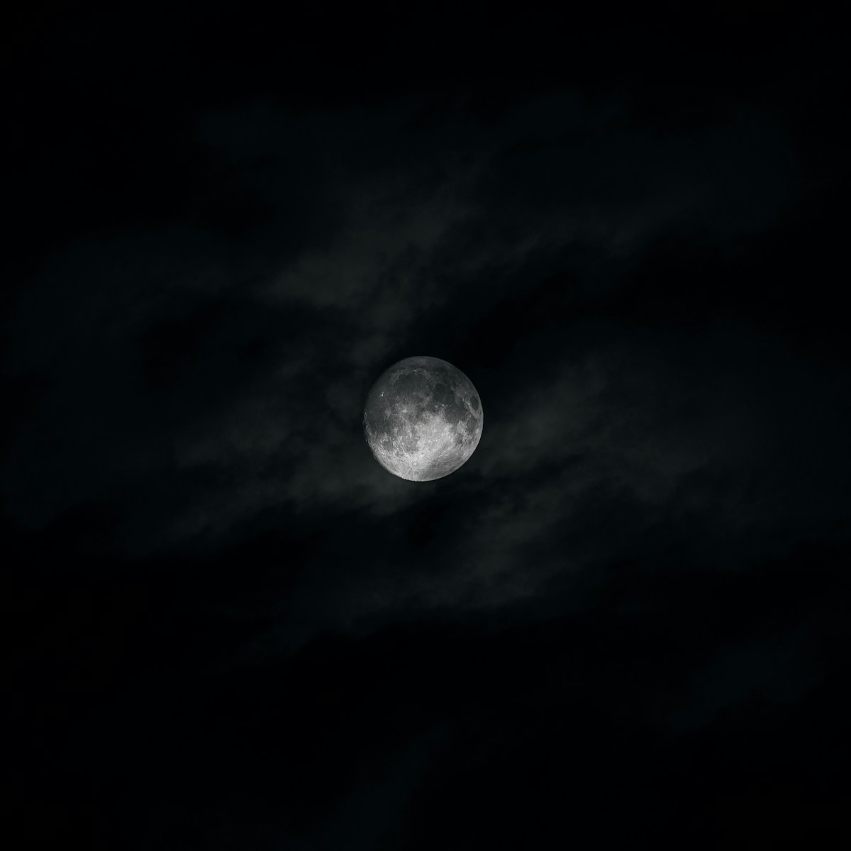 dark moon night Shadowy Moon Evening time By means of the Bushes – Mysterious Unbelievable factor about Pure world’s Shadows