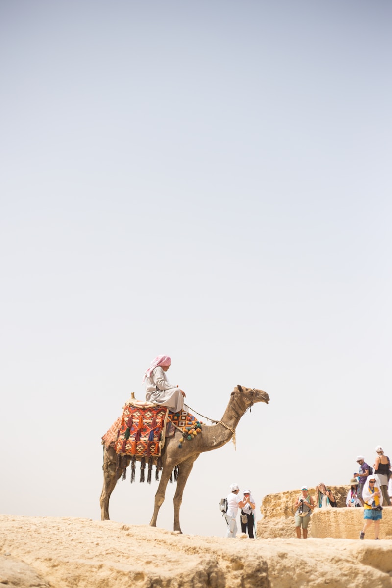 6 4K camel background 4K camel background, Arabian desert wallpaper, camel caravan photos, camel photography, camel wallpapers, desert dunes wallpaper, desert travelers, nature 4K backgrounds., Ultra HD camel images, Wildlife Wallpapers Camel Wallpapers – Desert Vacationers of the Sand Dunes 4K camel background Camel Wallpapers – Desert Vacationers of the Sand Dunes