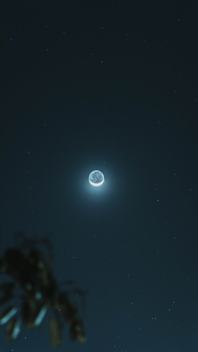 7 dark moon night dark moon night, dark moon symbolism, dark nature scenery, leaves in darkness, moonless night nature, moonless sky, mysterious landscapes, nature at night, night forest photography, trees and branches Shadowy Moon Evening time By means of the Bushes – Mysterious Unbelievable factor about Pure world’s Shadows dark moon night Shadowy Moon Evening time By means of the Bushes – Mysterious Unbelievable factor about Pure world’s Shadows