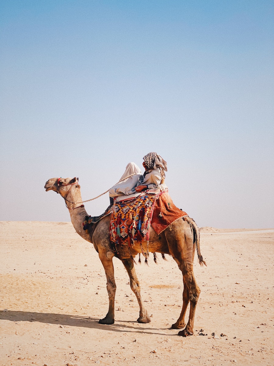 17 4K camel background 4K camel background, Arabian desert wallpaper, camel caravan photos, camel photography, camel wallpapers, desert dunes wallpaper, desert travelers, nature 4K backgrounds., Ultra HD camel images, Wildlife Wallpapers Camel Wallpapers – Desert Vacationers of the Sand Dunes 4K camel background Camel Wallpapers – Desert Vacationers of the Sand Dunes